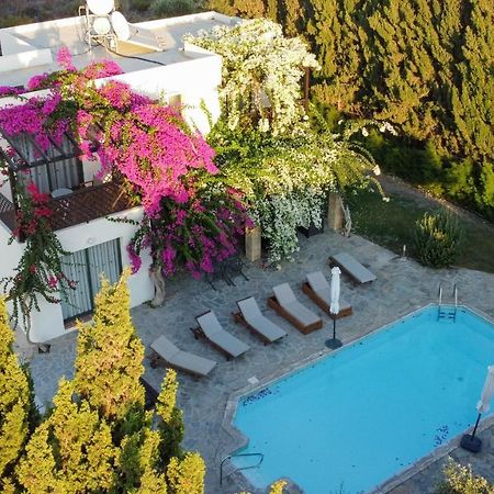 Banana Sunset Villas Paphos Bagian luar foto