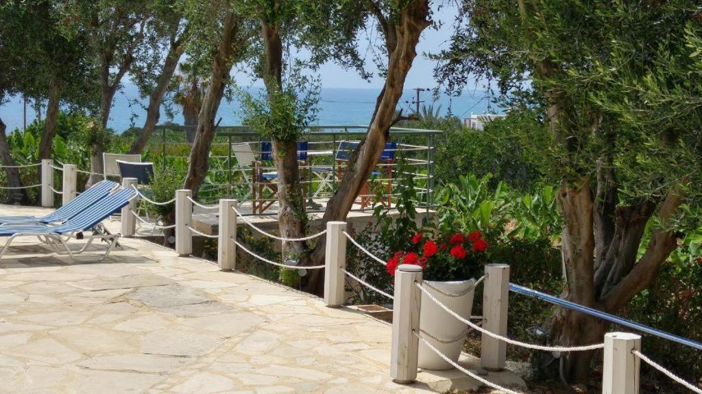 Banana Sunset Villas Paphos Bagian luar foto