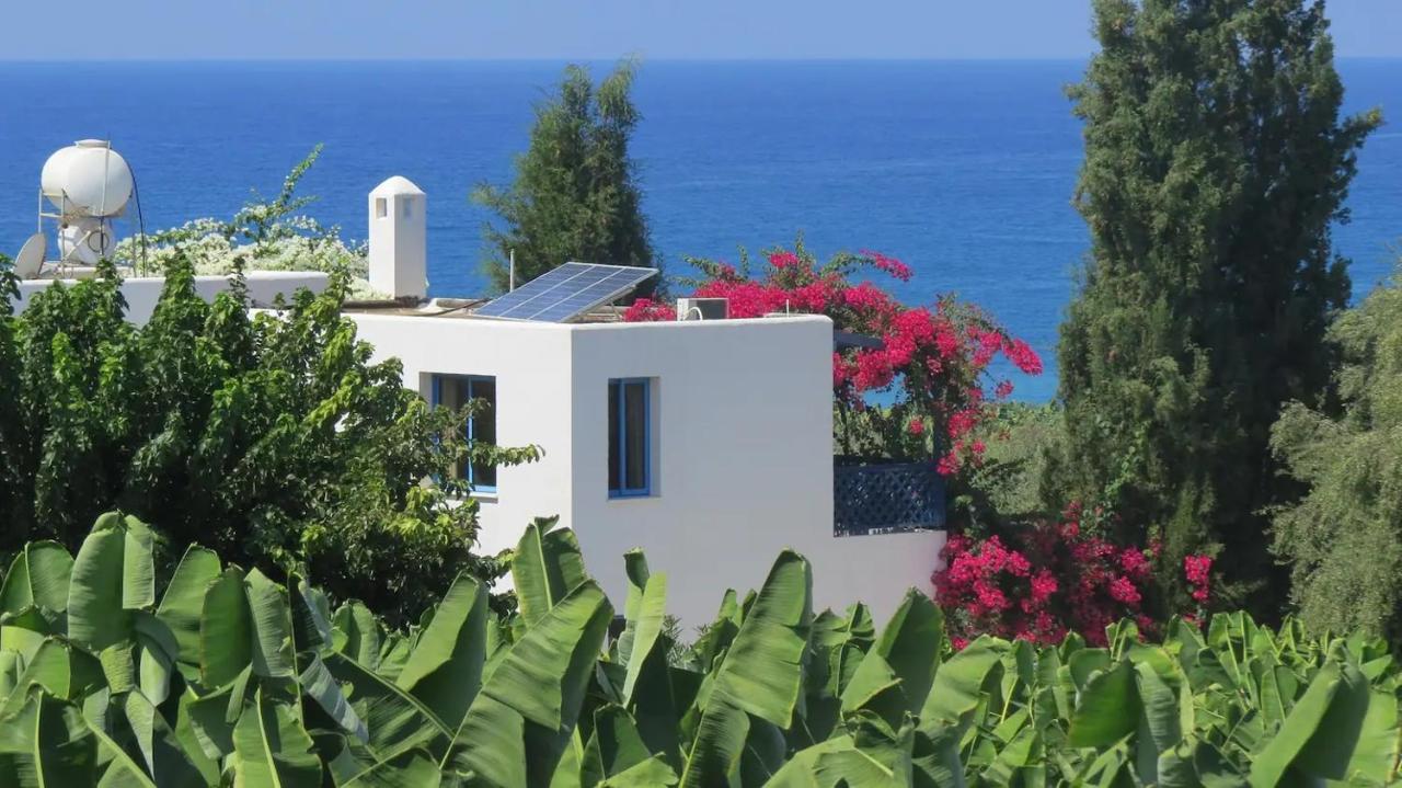 Banana Sunset Villas Paphos Bagian luar foto