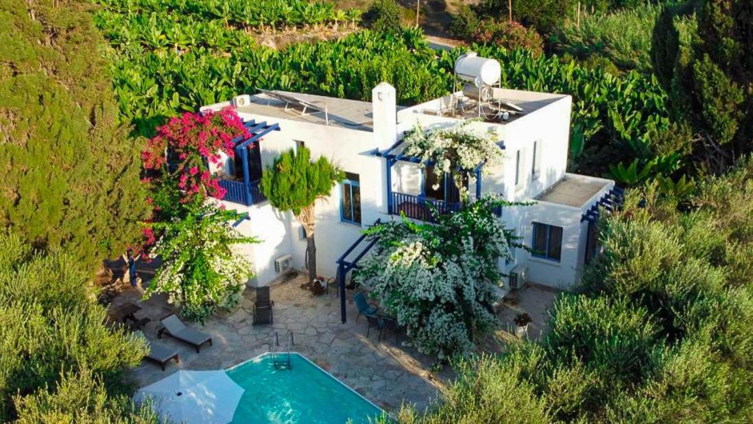 Banana Sunset Villas Paphos Bagian luar foto
