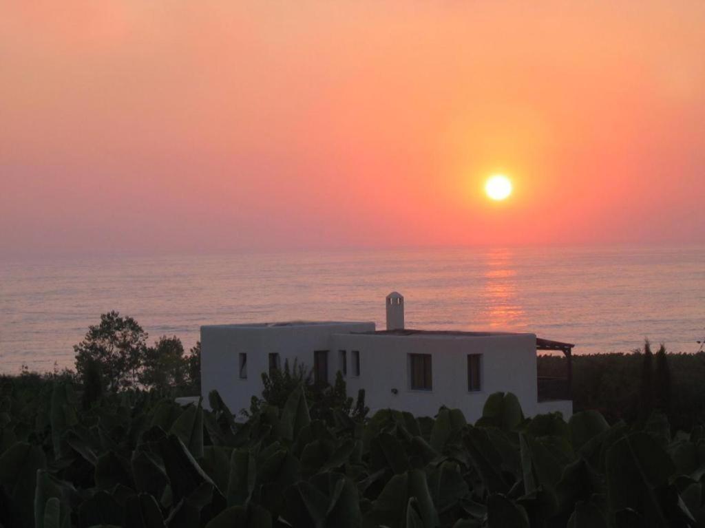 Banana Sunset Villas Paphos Bagian luar foto