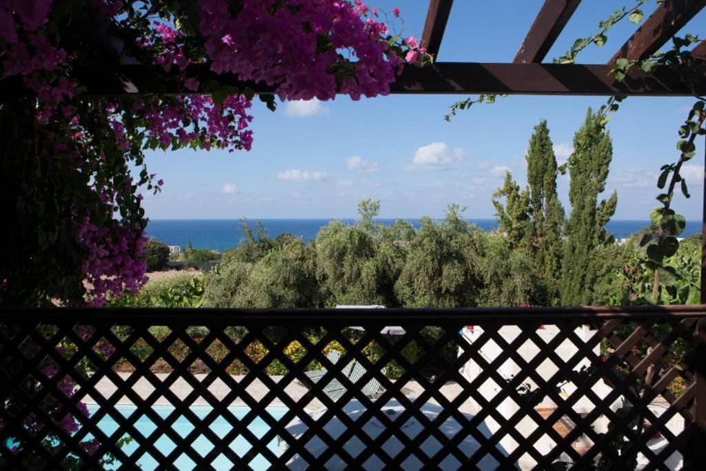 Banana Sunset Villas Paphos Bagian luar foto