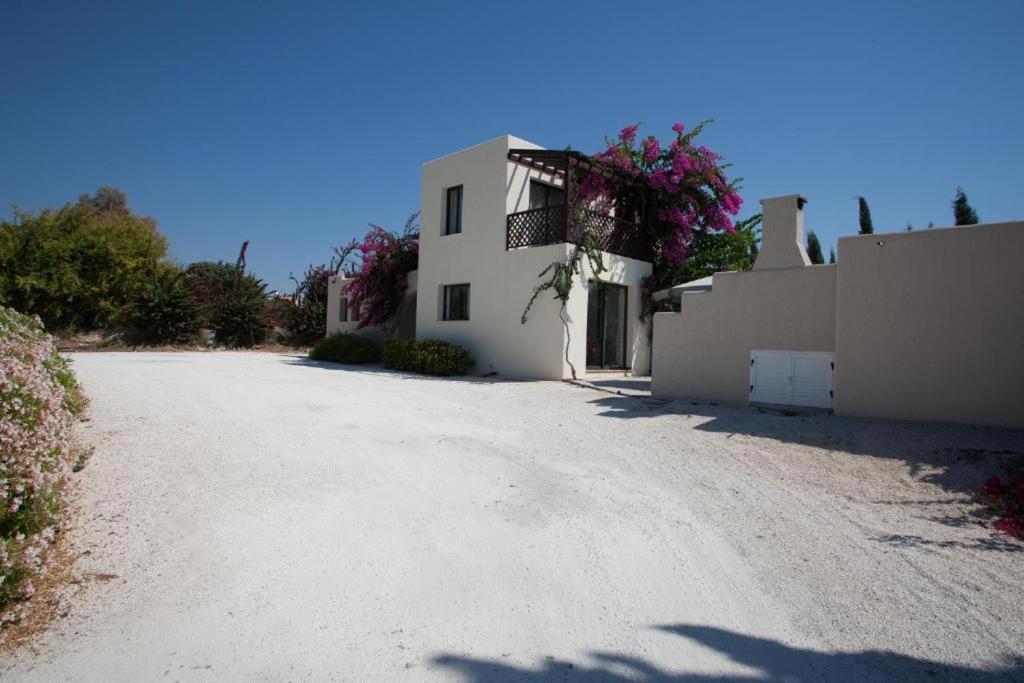 Banana Sunset Villas Paphos Bagian luar foto