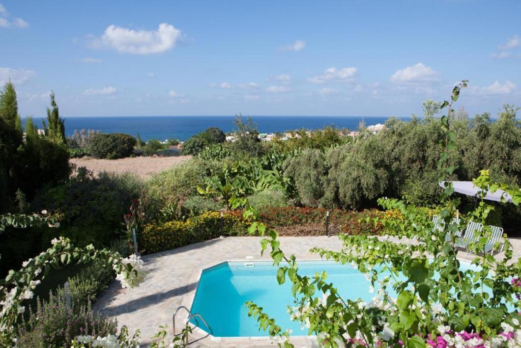 Banana Sunset Villas Paphos Bagian luar foto