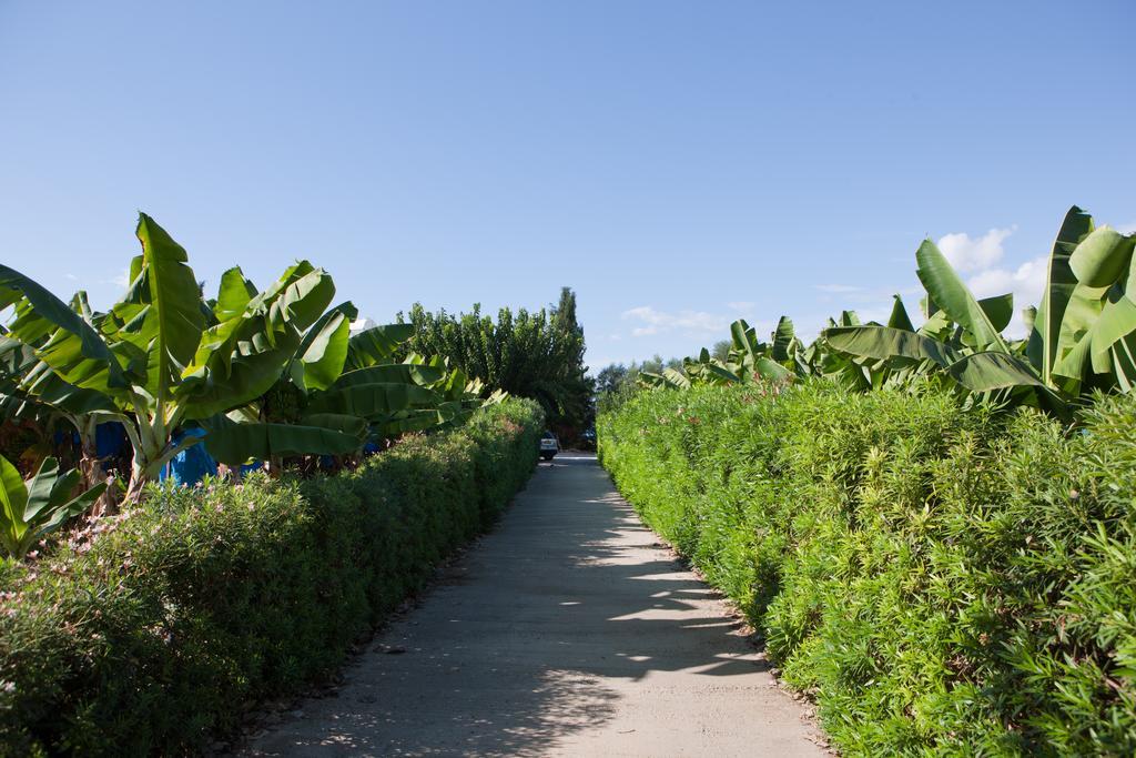Banana Sunset Villas Paphos Bagian luar foto